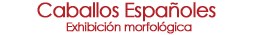 Caballos Españoles Exhibicion Morfologica