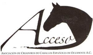 Campoenato Nacional Del Caballo Español Acceso 2006