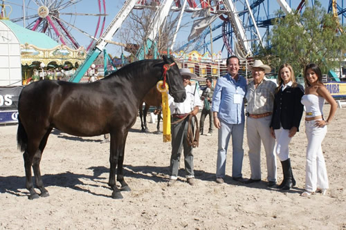 Campeonato de Caballo Espaol en Aguascalientes 01